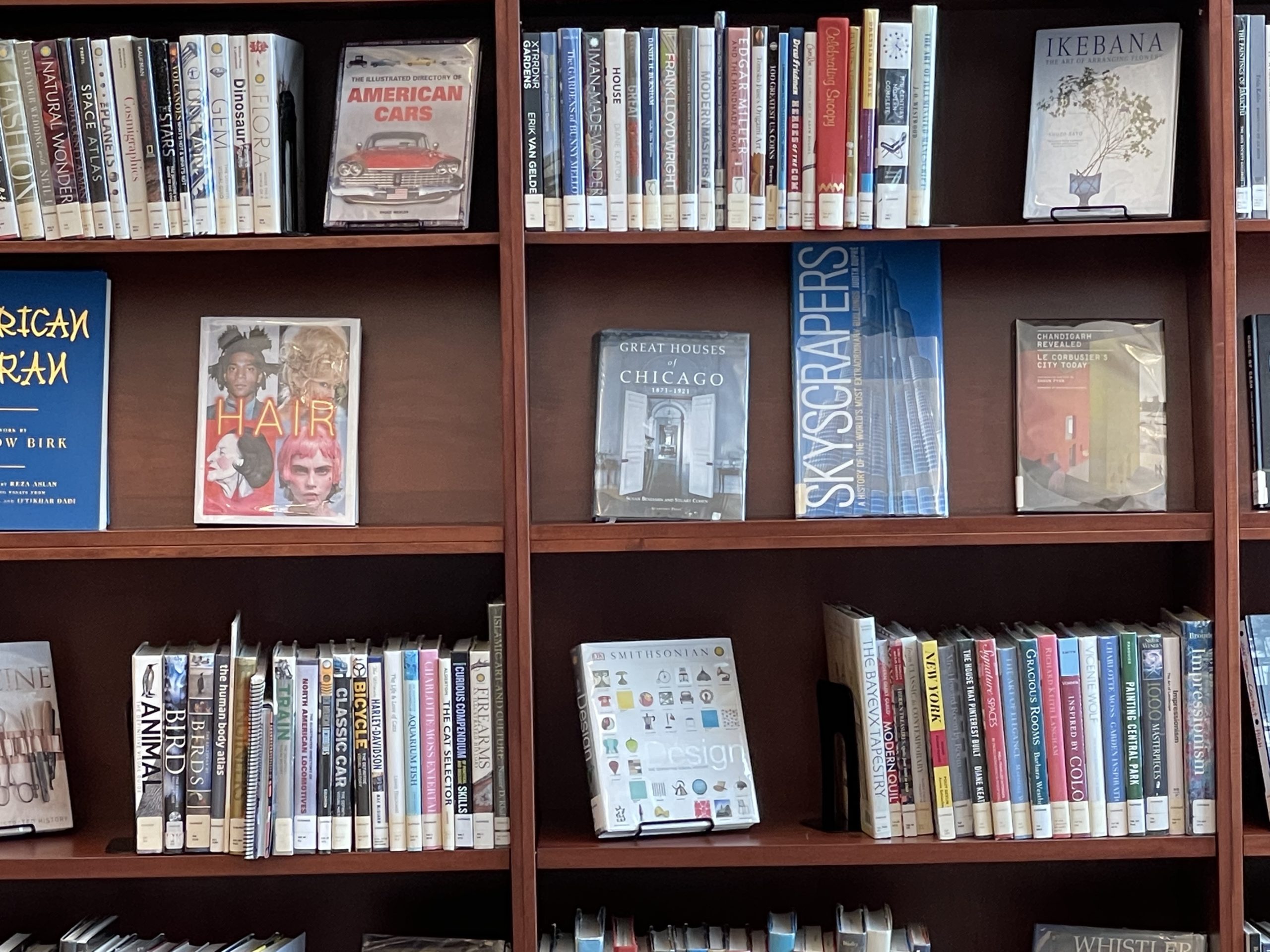 library shelves with oversized books