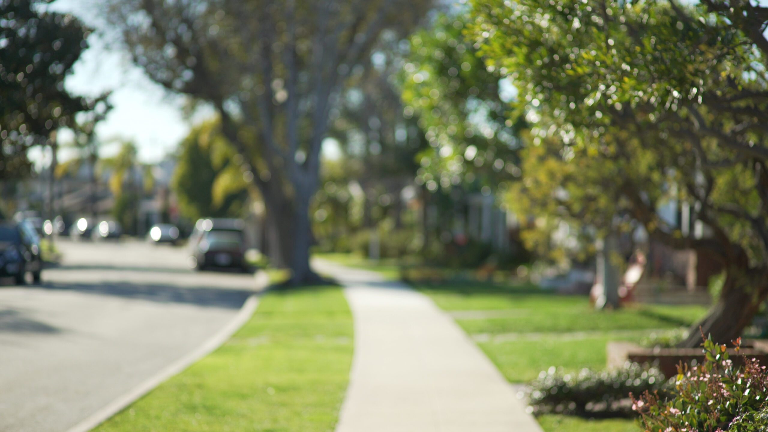 Scene of a sidewalk in a residential neighborhood