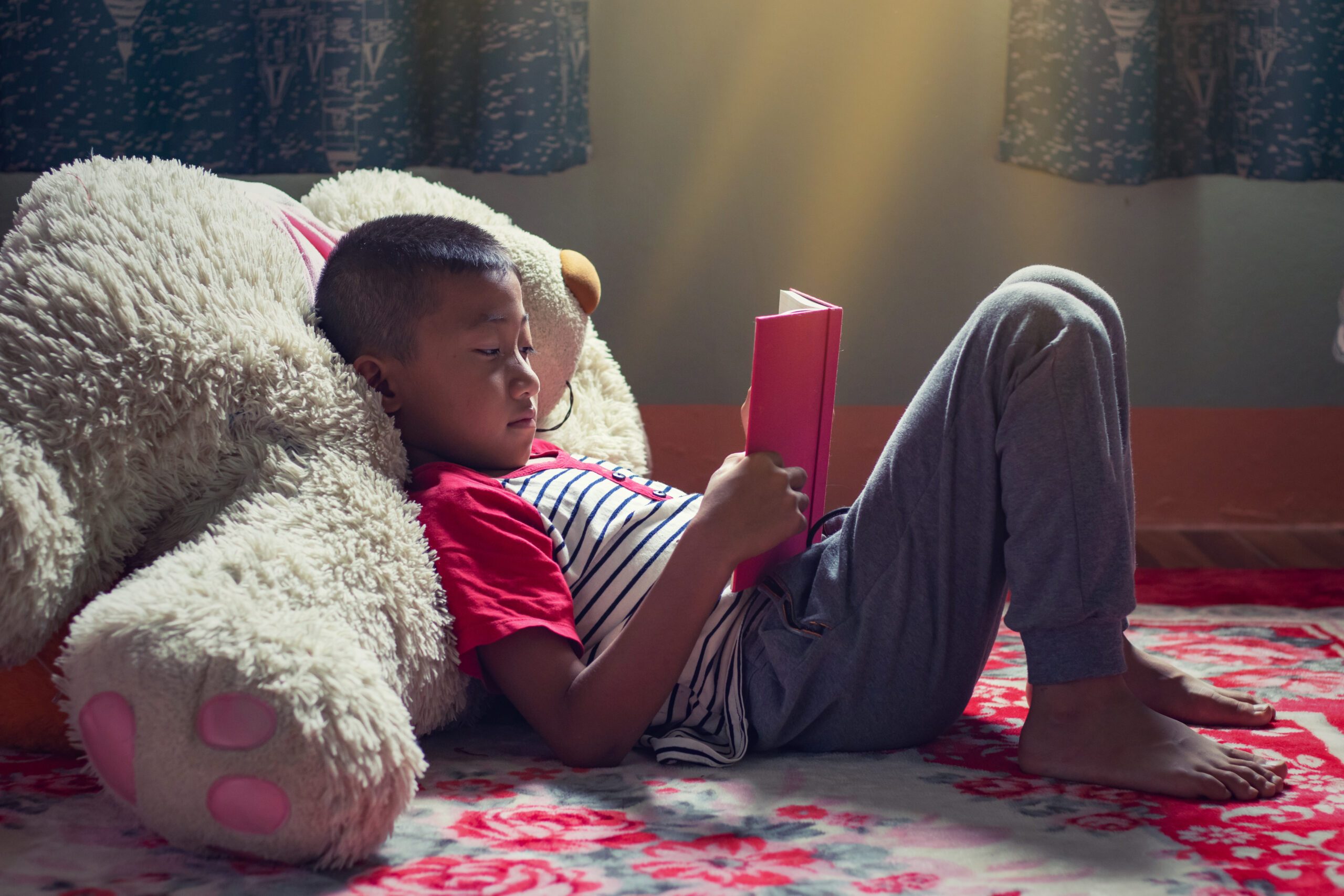 Young boy reading a book