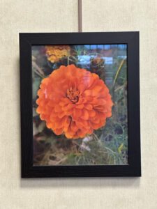 Flower photography of the featured teen artist on display