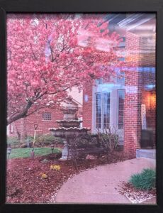 Garden photograph by Jenna Henderson
