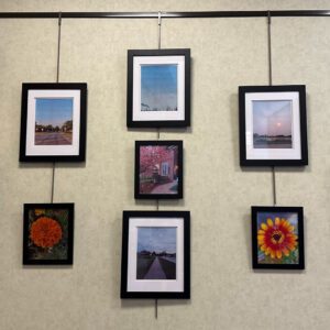 Several photographs by Jenna Henderson on the Teen Art Gallery Wall