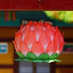 lotus lantern