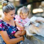 Mom and child feeding goat at an outdoor petting zoo